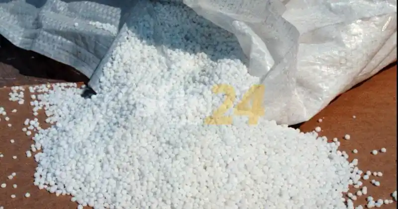 Casi 2 mil millones de dólares en riesgo si faltara fertilizante