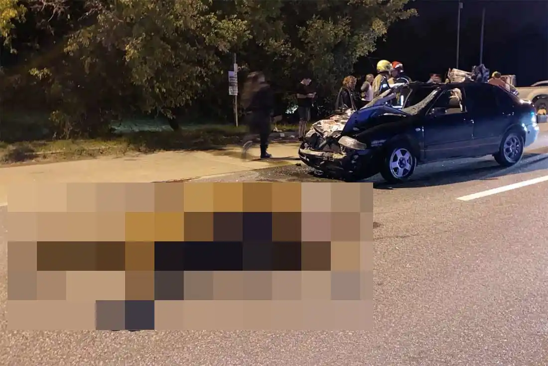 Uno de los caballos sobre el asfalto. Choque mortal.