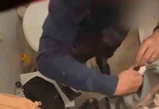 Imágenes del video en donde se captó al responsable.