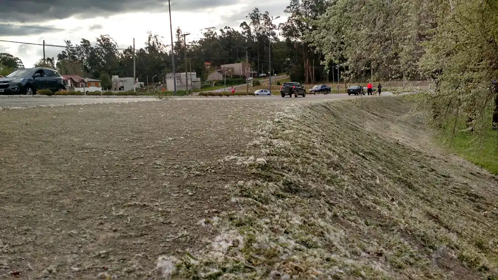 ¿Por qué hay una "invasión" de panaderos en una zona del Dique?