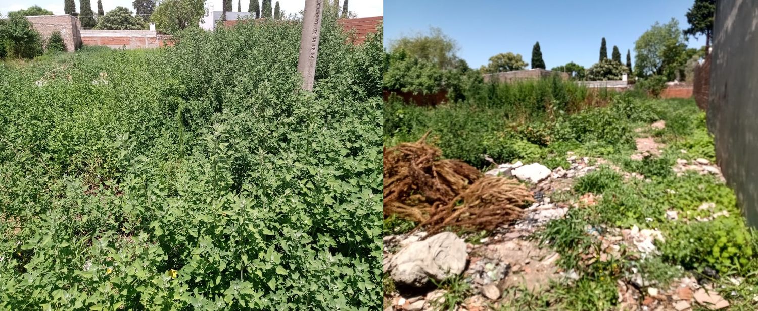 Reclamo por terreno baldío