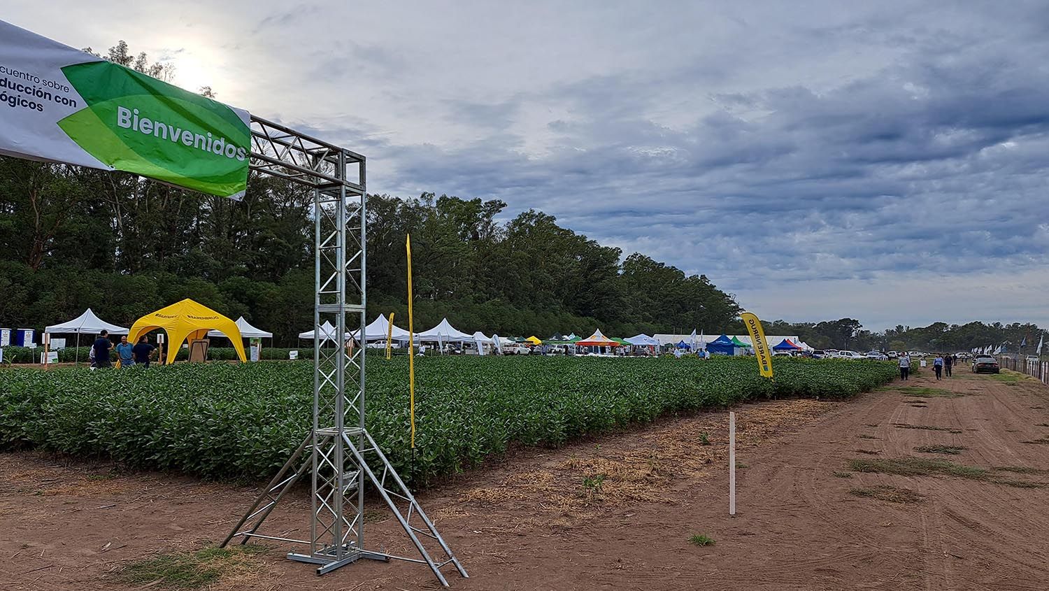 El auge de los productos biológicos en la agricultura Argentina