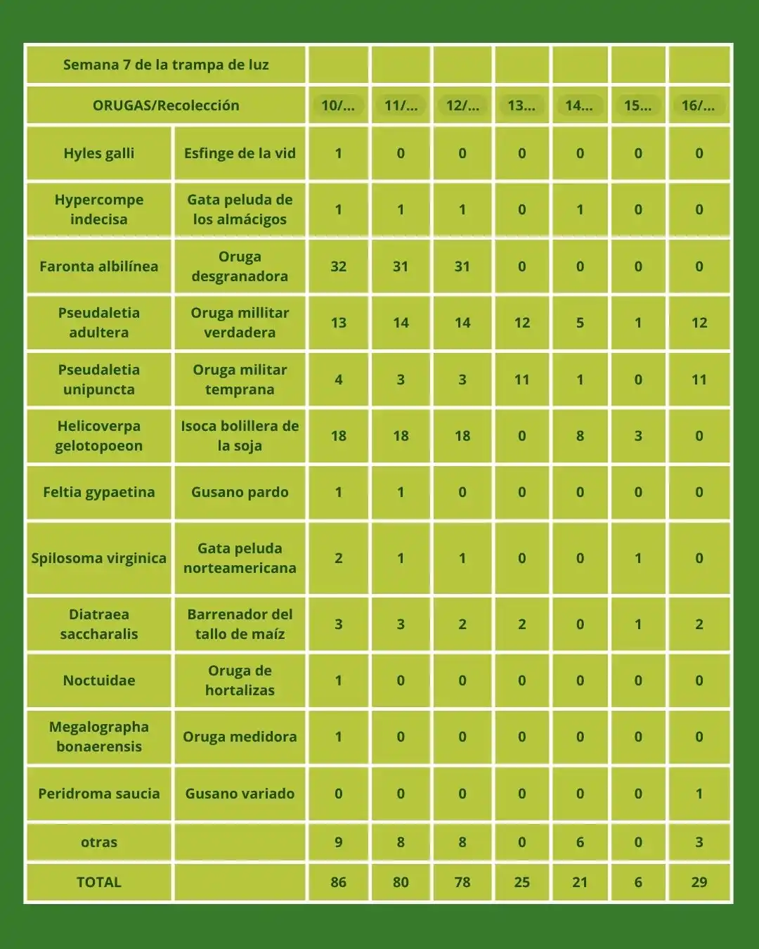 cuadro lepi septima semana