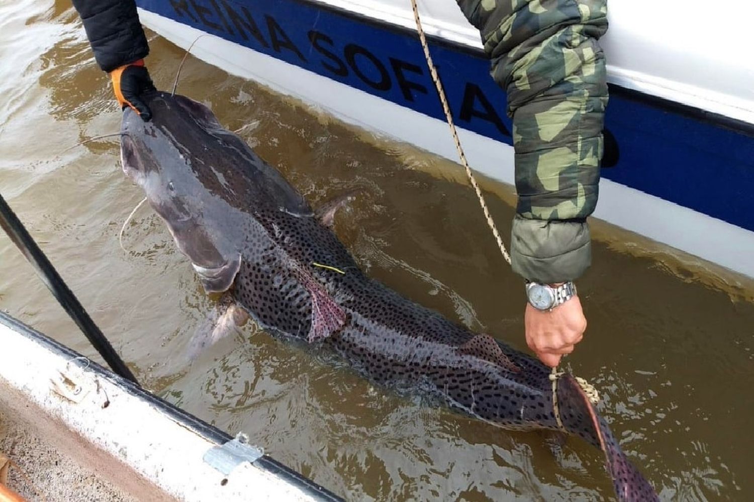 Ante la bajante del río Uruguay rige la veda de pesca en horario nocturno