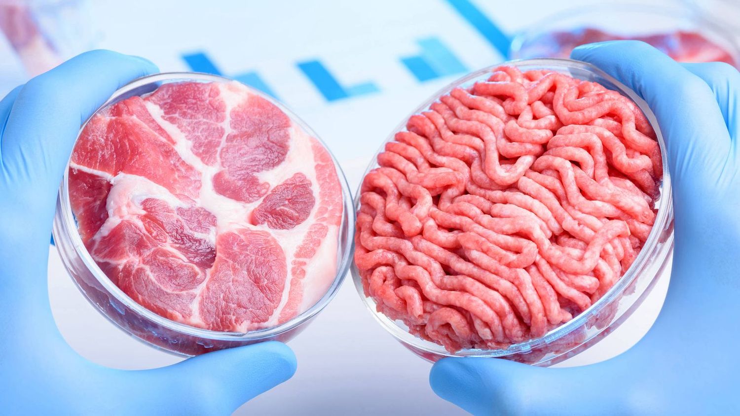Comer insectos y carne de laboratorio: las 2 alternativas  para reducir en un 80 % el impacto humano en el planeta