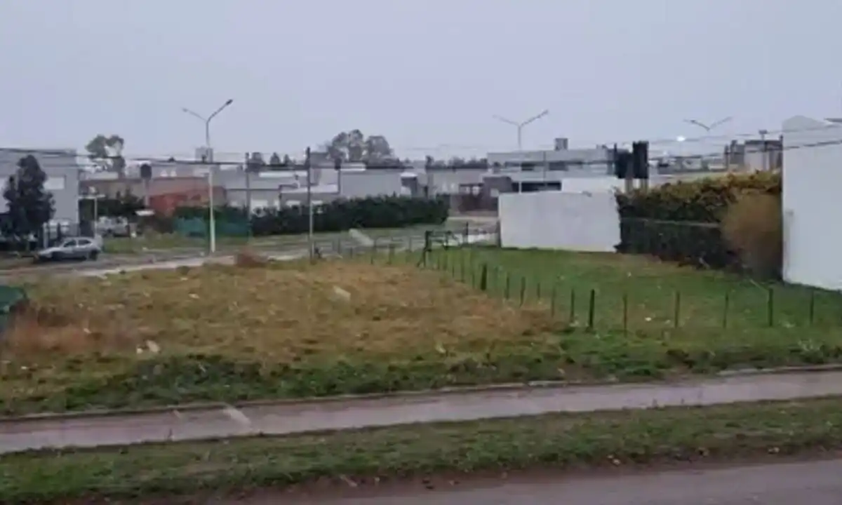 Fotos y videos: La Brújula 24 y La Nueva