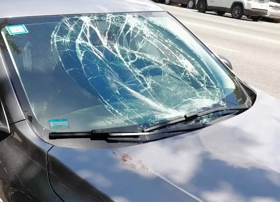 Así quedó el parabrisas de uno de los autos dañados por este temerario sujeto.