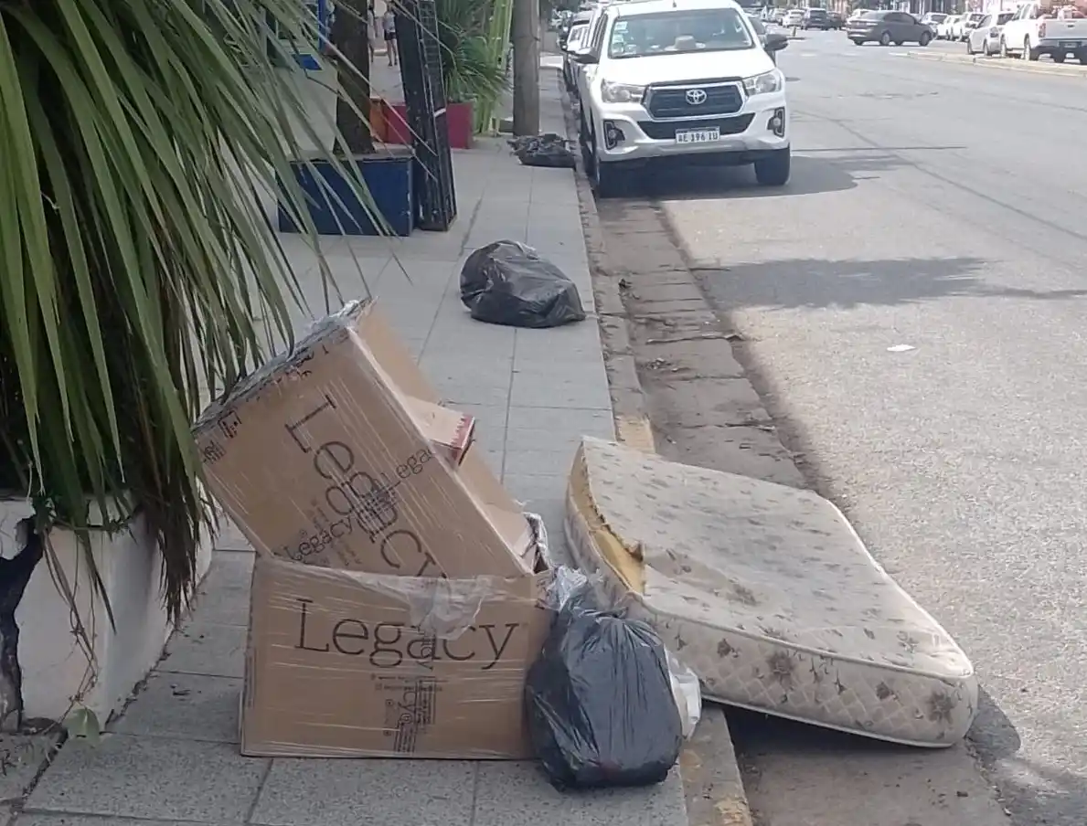 basura basurales - 1