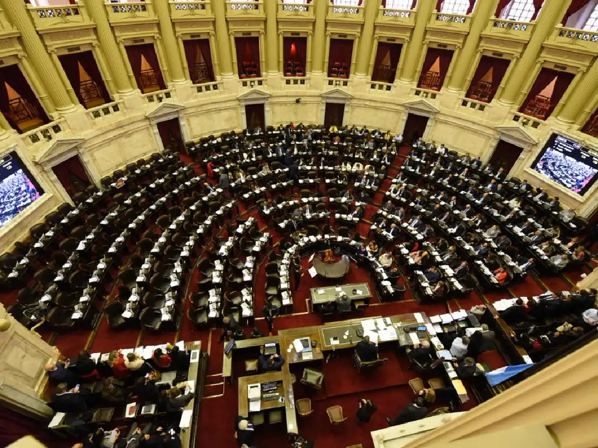 Diputados presentaron el proyecto para suspender las PASO