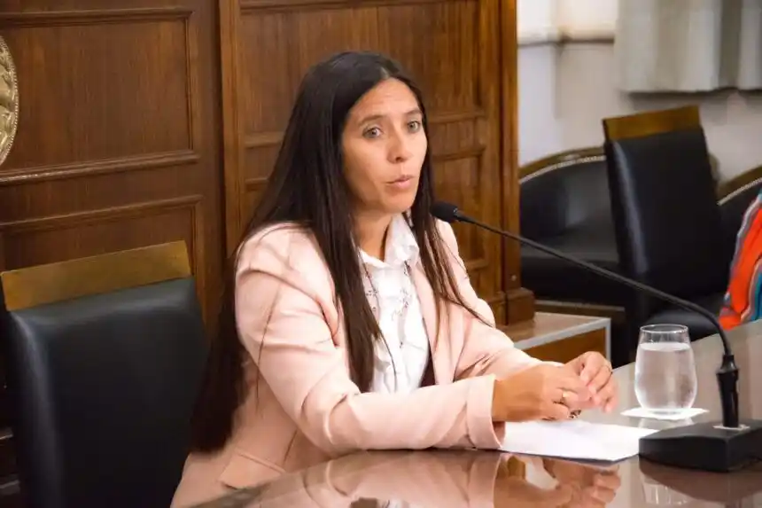 Parravicini en el Senado: “La Defensoría es la puerta de acceso a la justicia a quienes están en condición de vulnerabilidad”