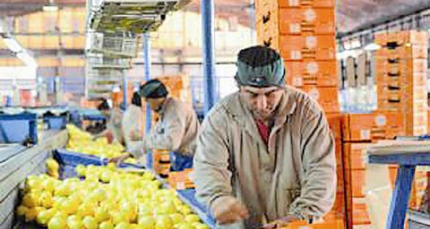 Capacitación de Inspectores de Empaque