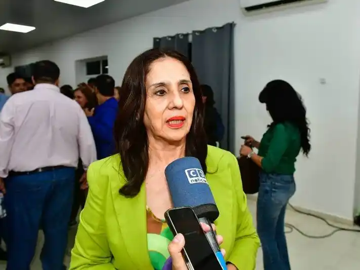 Diputados nacionales de Formosa presentarán proyecto 
de tarifa eléctrica diferencial para el Norte Grande