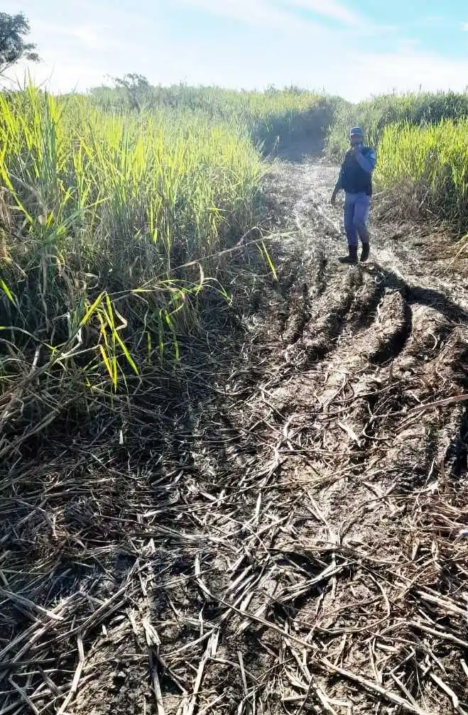 Nuevo enfrentamiento en la zona de El Mangal: contrabandistas atacaron a policías