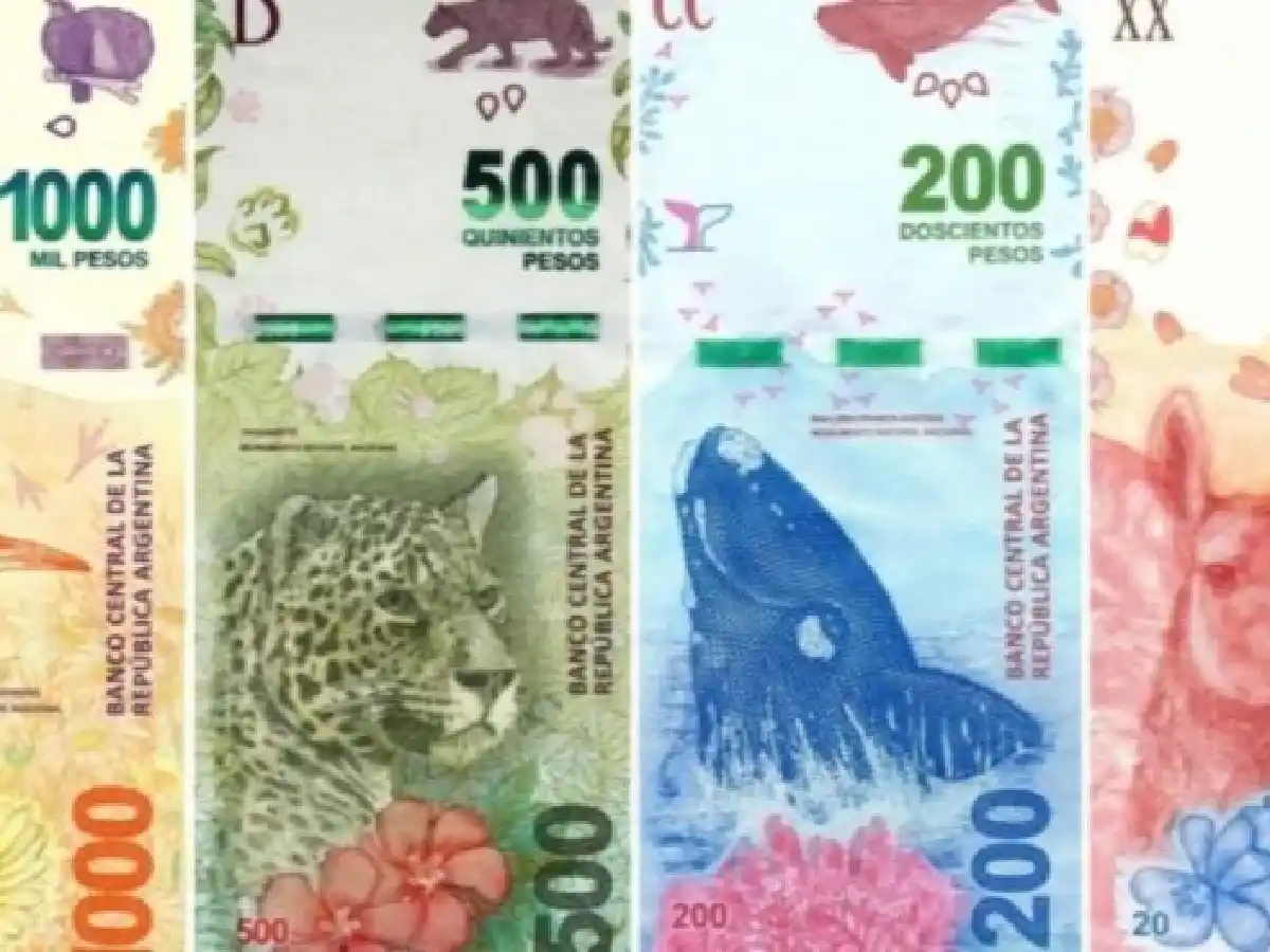 Alberto Fernández: "El billete de $ 5.000 fue una idea"