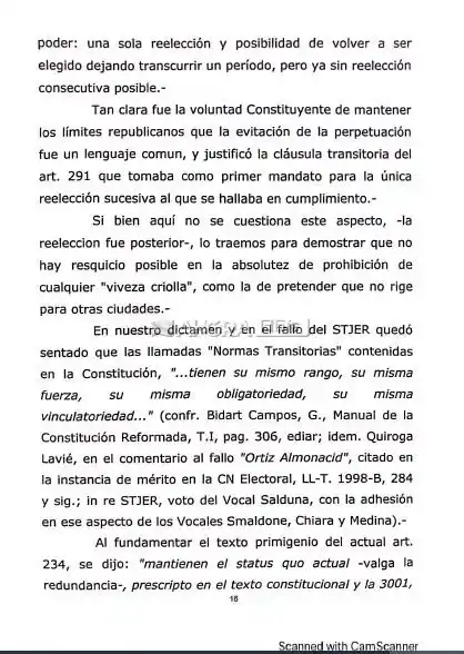 paginas fallo davico - 3