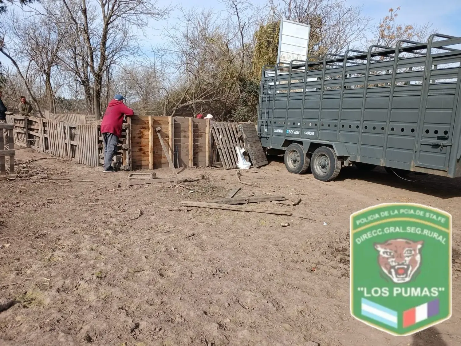 Triquinosis: intervinieron un criadero de cerdos santafesino y retiraron todos los animales tras confirmar casos