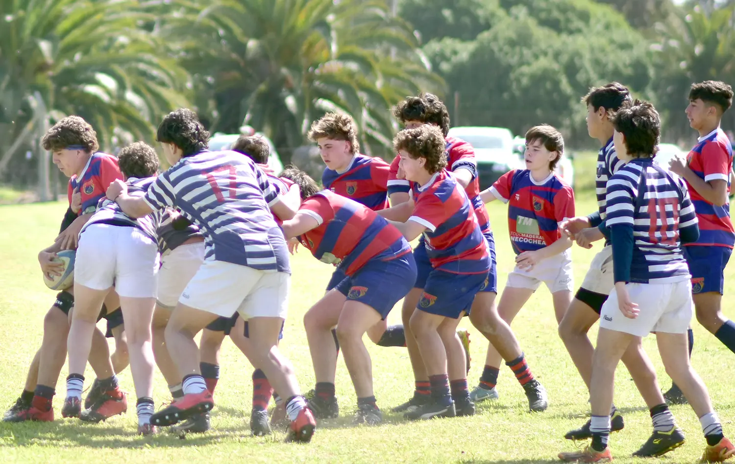 La M15, a la espera de la definición del Torneo de Plata