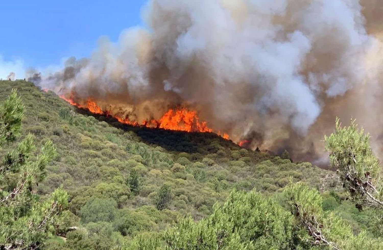 Nuevos focos de incendio en las serranías cordobesas.