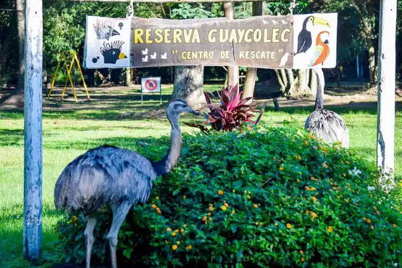 Vacaciones de invierno en Guaycolec: 
todos los días de 9 a 16 horas