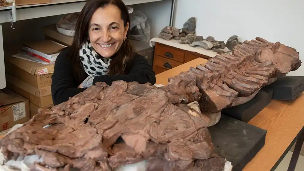 Descubren fósiles de una nueva especie que desafía las hipótesis sobre la evolución de los vertebrados