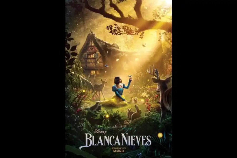 El poster de la película