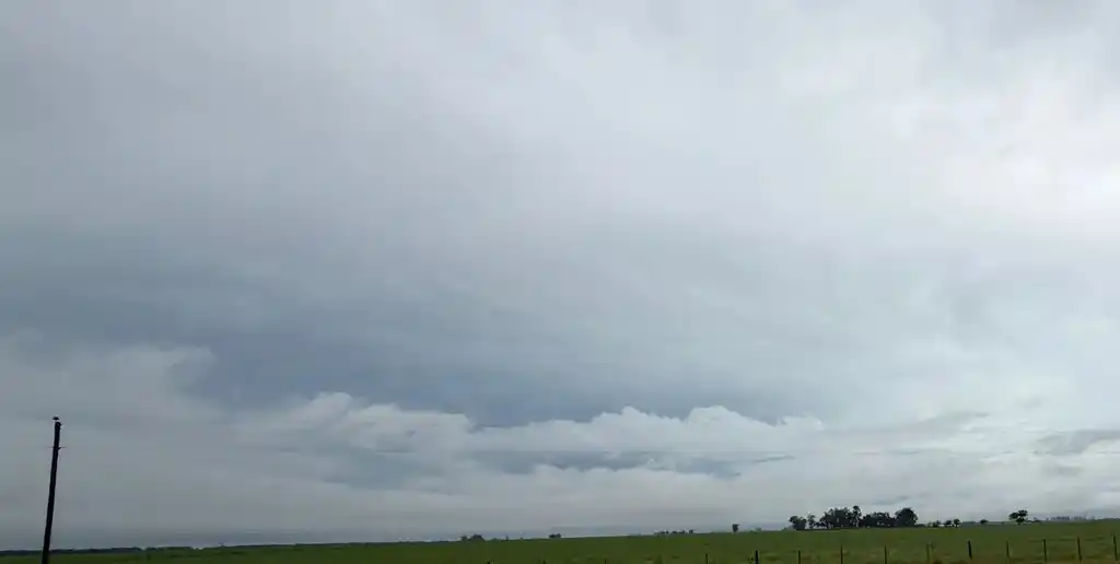 Excesos hídricos y realidades dispares marcan el pulso productivo en la región