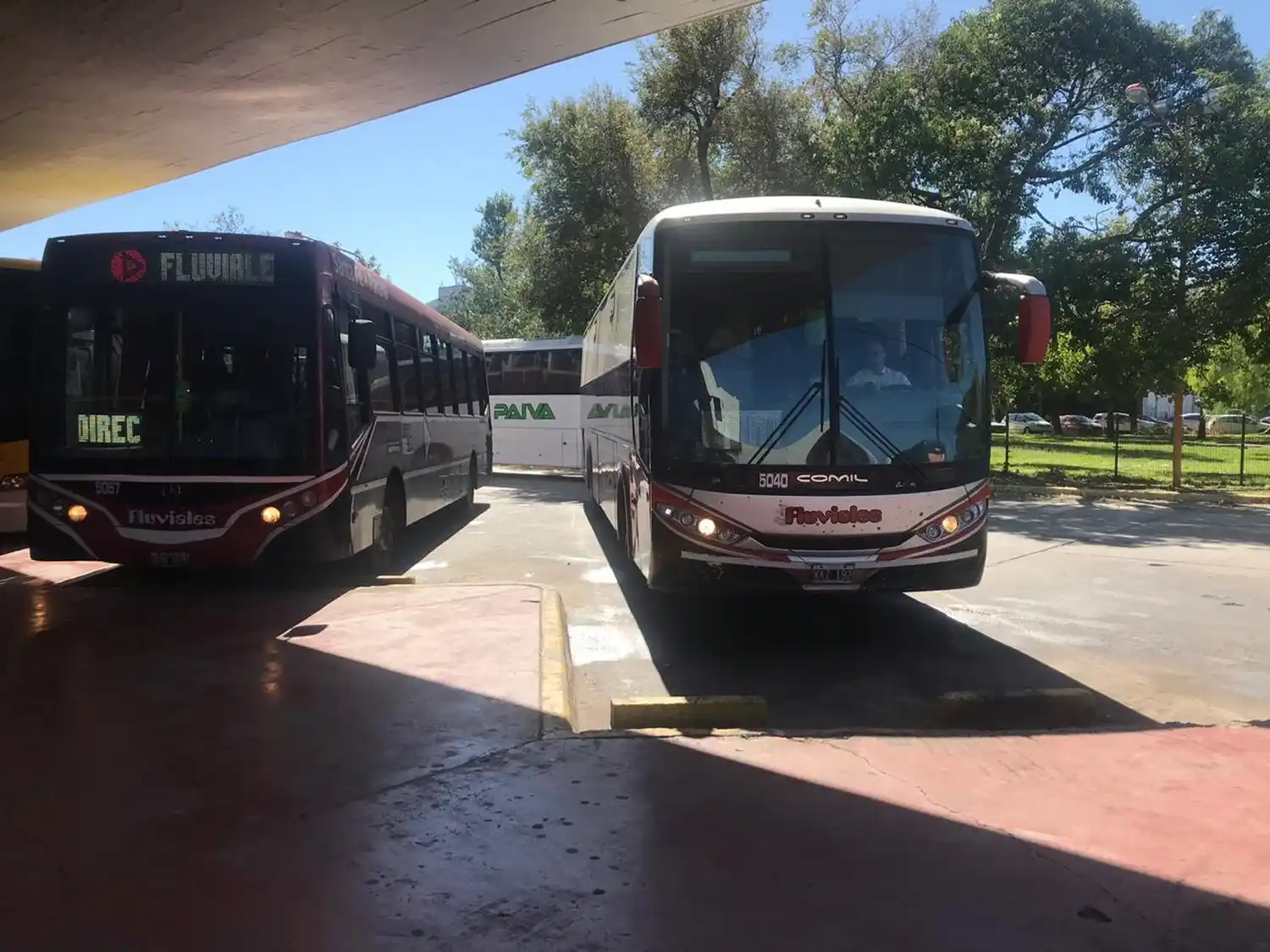 Continua suspendido el servicio de transporte interurbano de media y larga distancia