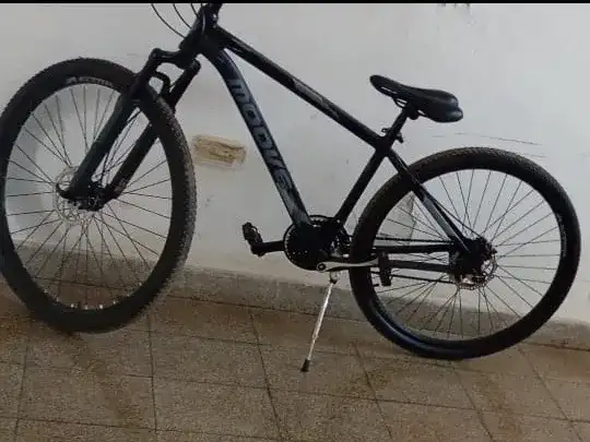 La bicicleta robada en Sargento Selada y Alvarado - 2