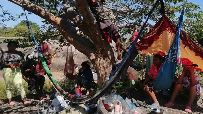 «Duermen debajo de los árboles»: desplazados venezolanos por la violencia en la frontera