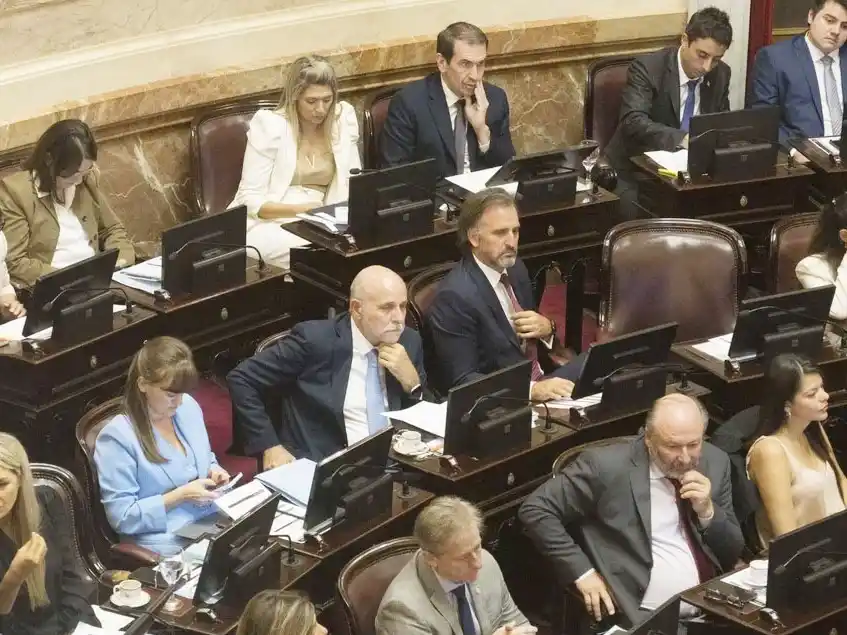 El oficialismo logró aprobar la reforma a la ley de Glaciares en el Senado y el Gobierno estalló en euforia