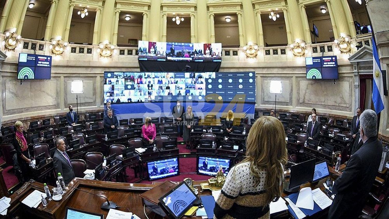 Senadores debate declarar Internet y telefonía móvil como servicios públicos