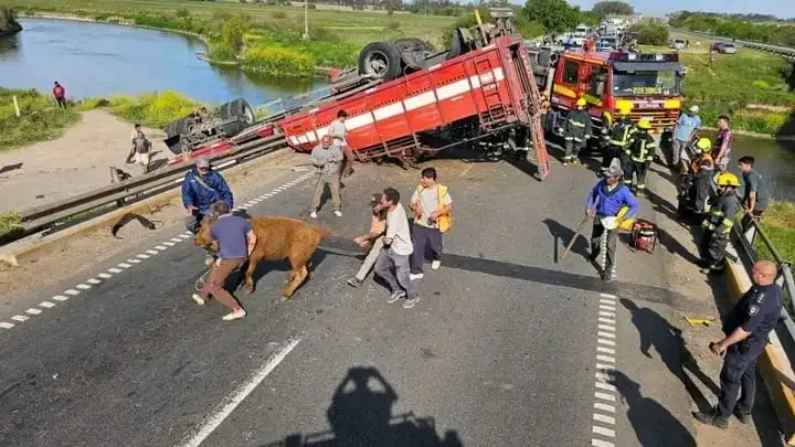 camionero vuelco pergamino - 1