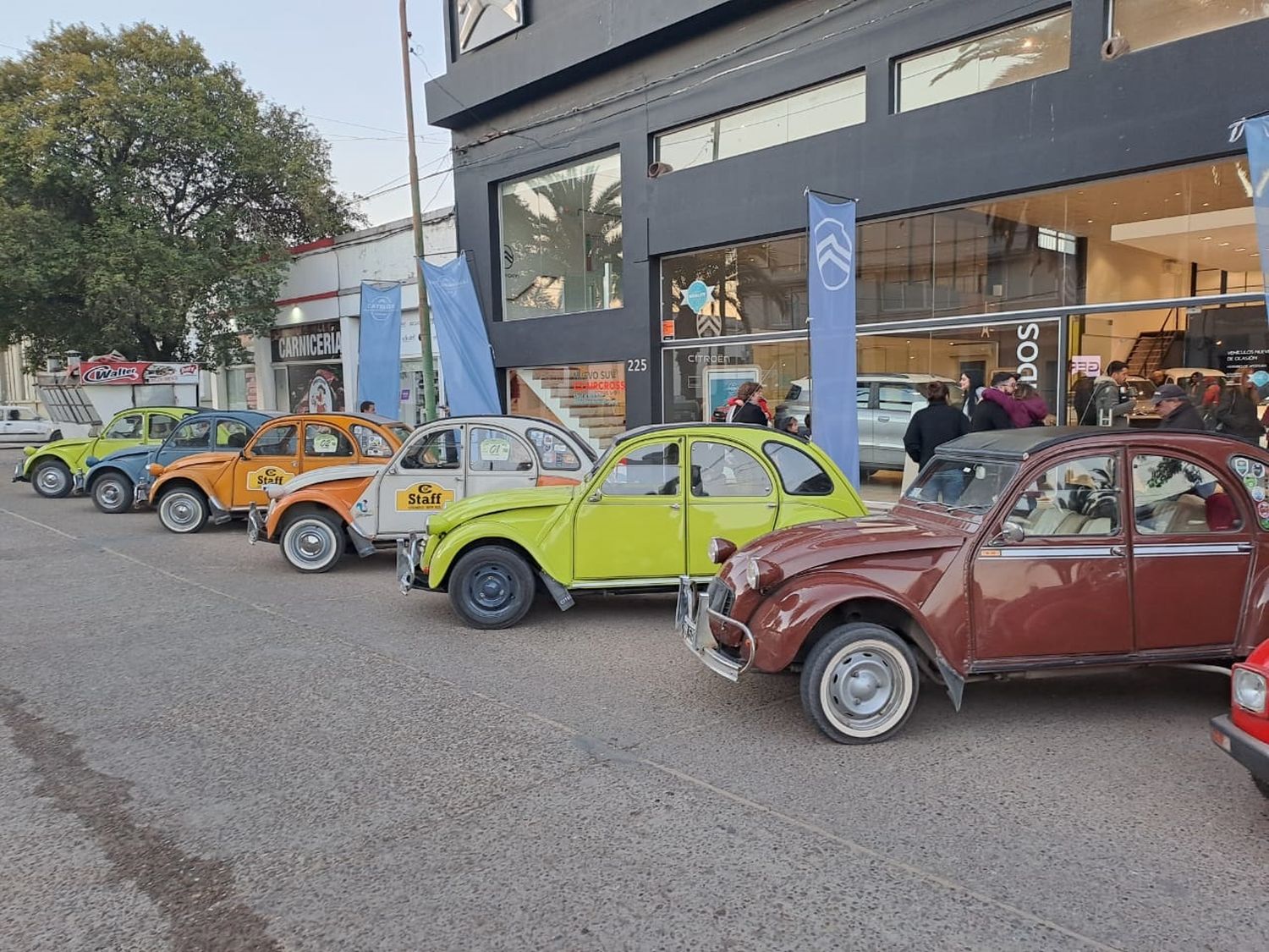 Los Citroën  3cv ubicados en la entrada a Gerli, la casa oficial de la marca en la ciudad.