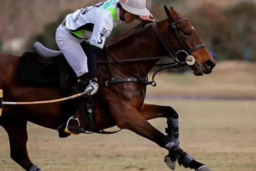 Estaba jugando al polo, cayó de del caballo y falleció