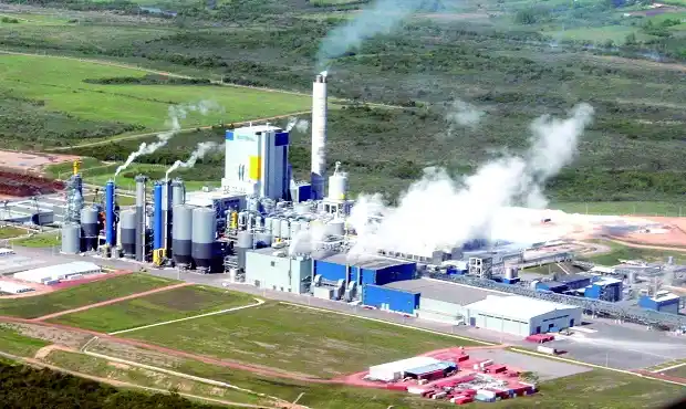 Senadores piden que Uruguay informe sobre la instalación de nuevas pasteras
