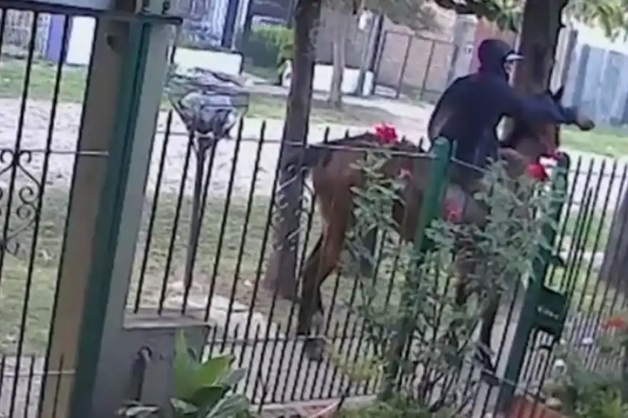 Como el lejano oeste pero en Merlo: A caballo y con tapabocas, baleó a un hombre en plena cuarentena