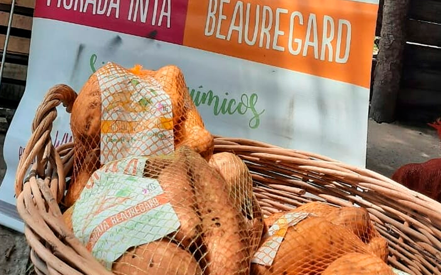 Feria Frutos de la Tierra y el Río este sábado, con la batata y la miel como productos destacados