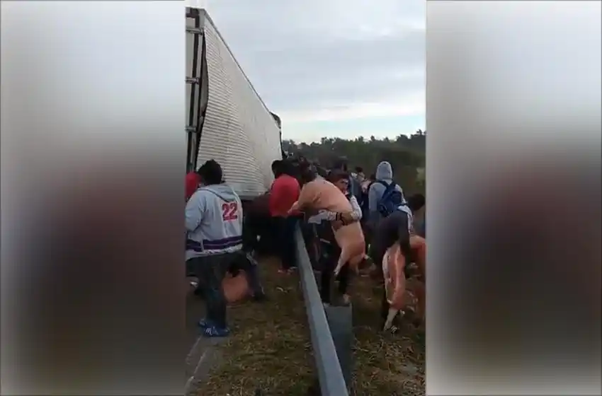 Video: se llevaron la carne que había en un camión que colisionó en Santa Fe