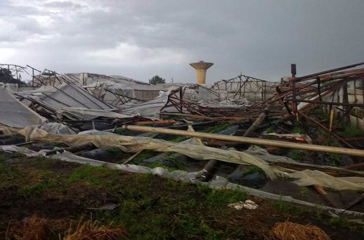 Otro golpe a frutihortícolas: "Hay invernáculos que se desintegraron"