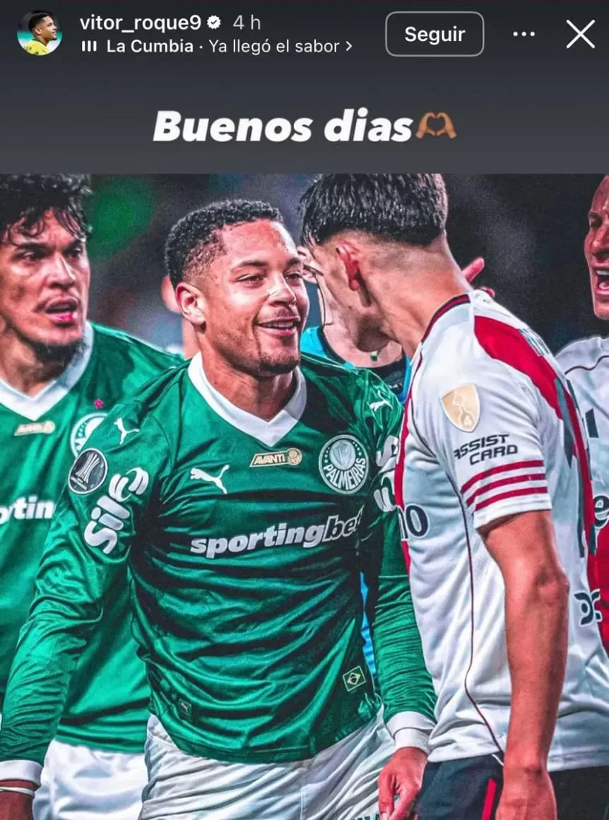 Palmeiras redes