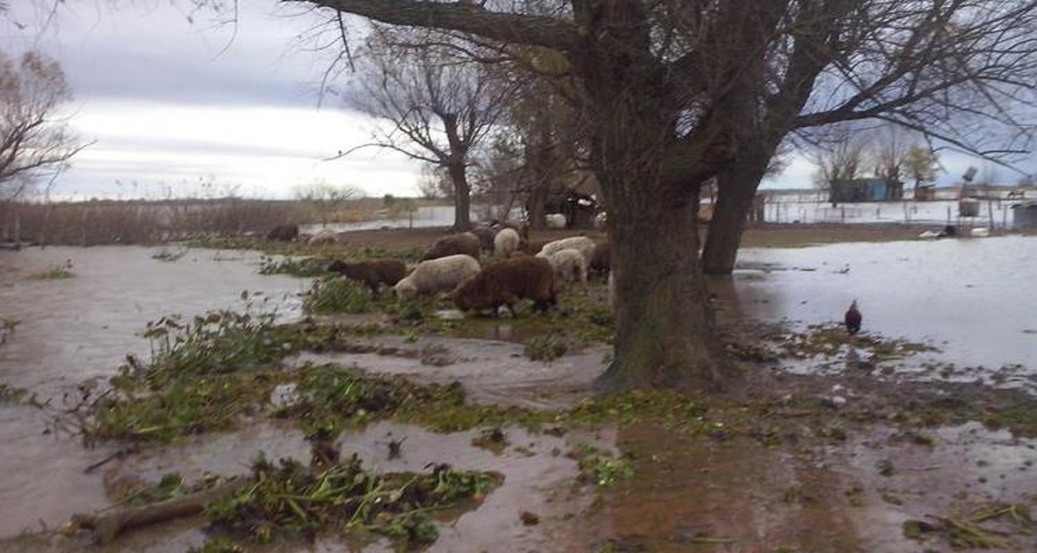 Creciente del Paraná: Alcanzó los 2,88 metros y varias familias se autoevacuaron