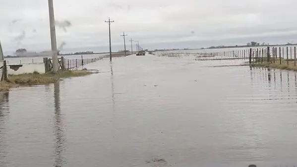 Ministerio de Agricultura convocó a la Comisión Nacional de Emergencia para el miércoles