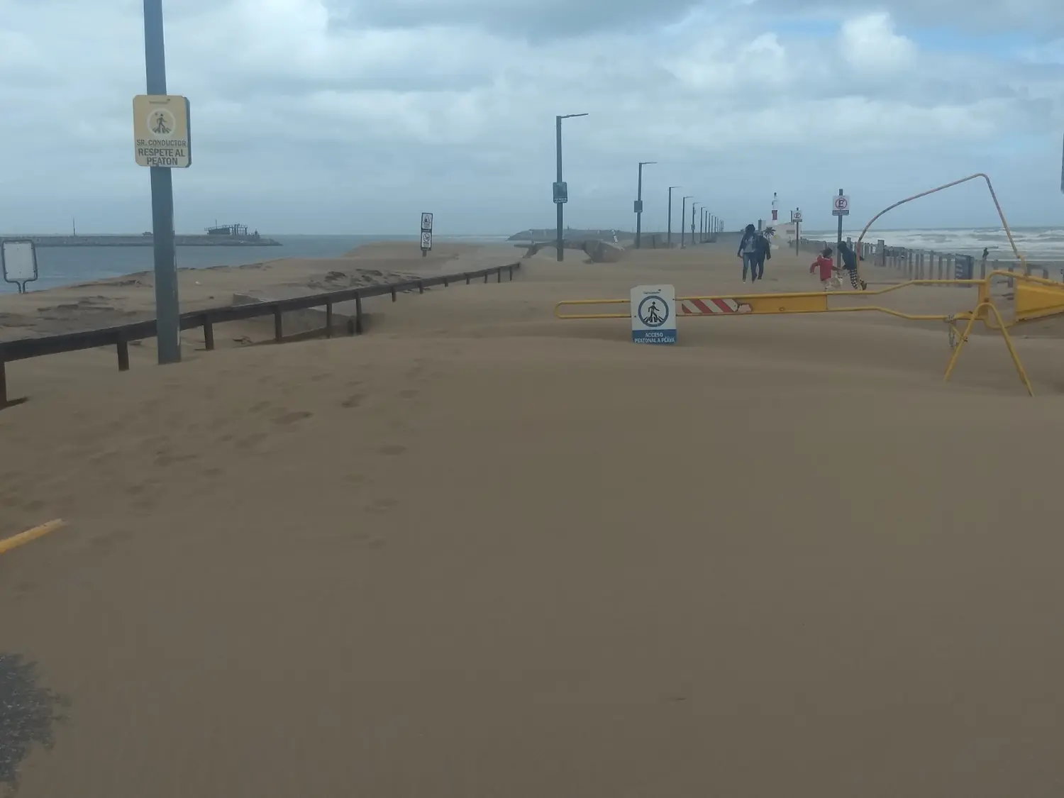 Temporal. Caída de semáforos y árboles