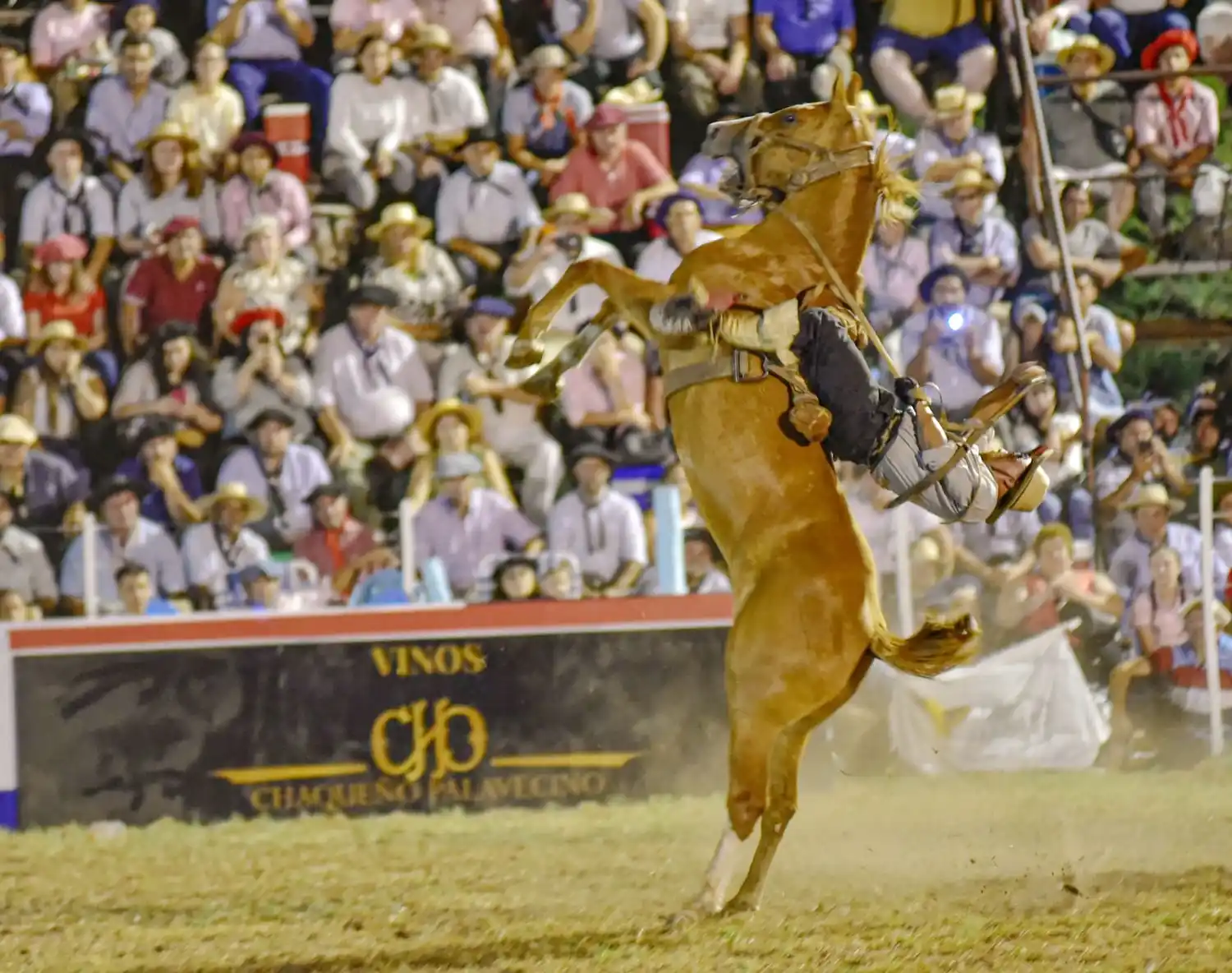 Diamante se prepara para vivir la 53º Fiesta de la Jineteada y Folklore