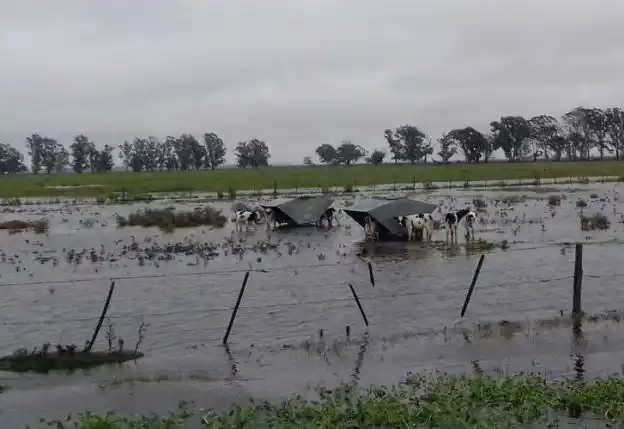 Inundaciones: El Gobierno destinará $1000 millones