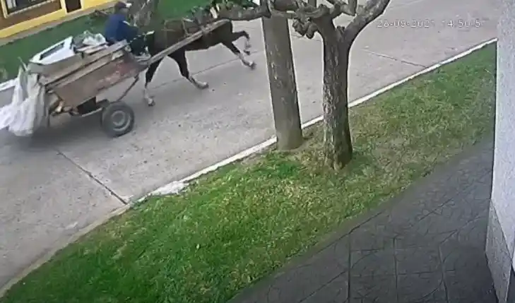 Video: Roba cables huyeron en un carro a caballo perseguidos por la policía