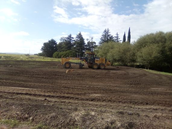 Bicentenario: las propuestas en Azucena