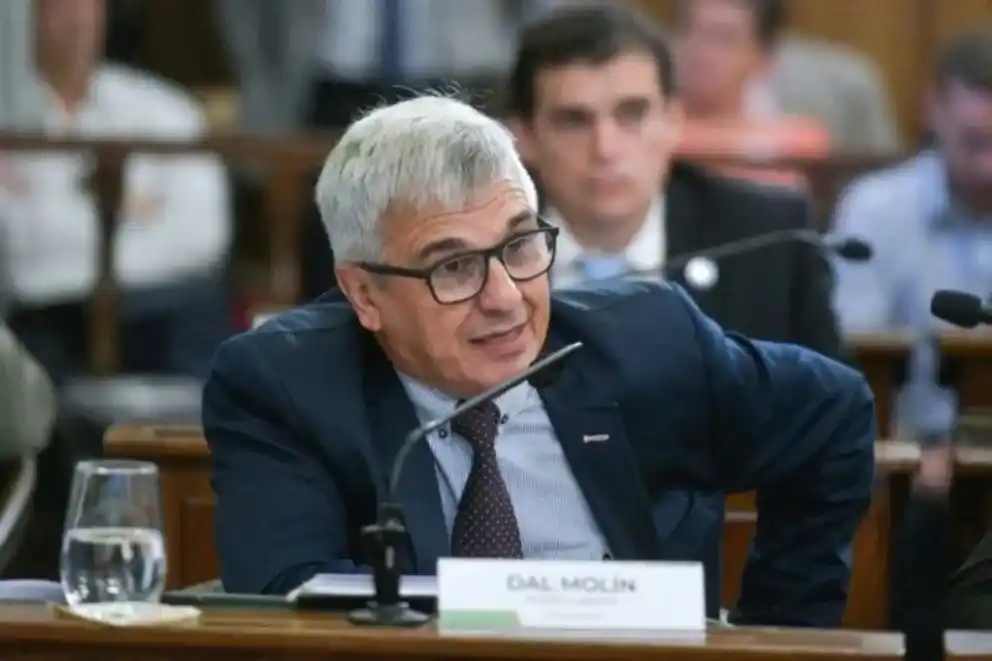 Dal Molín comparó la firme actitud de Frigerio con la pasividad de Bordet