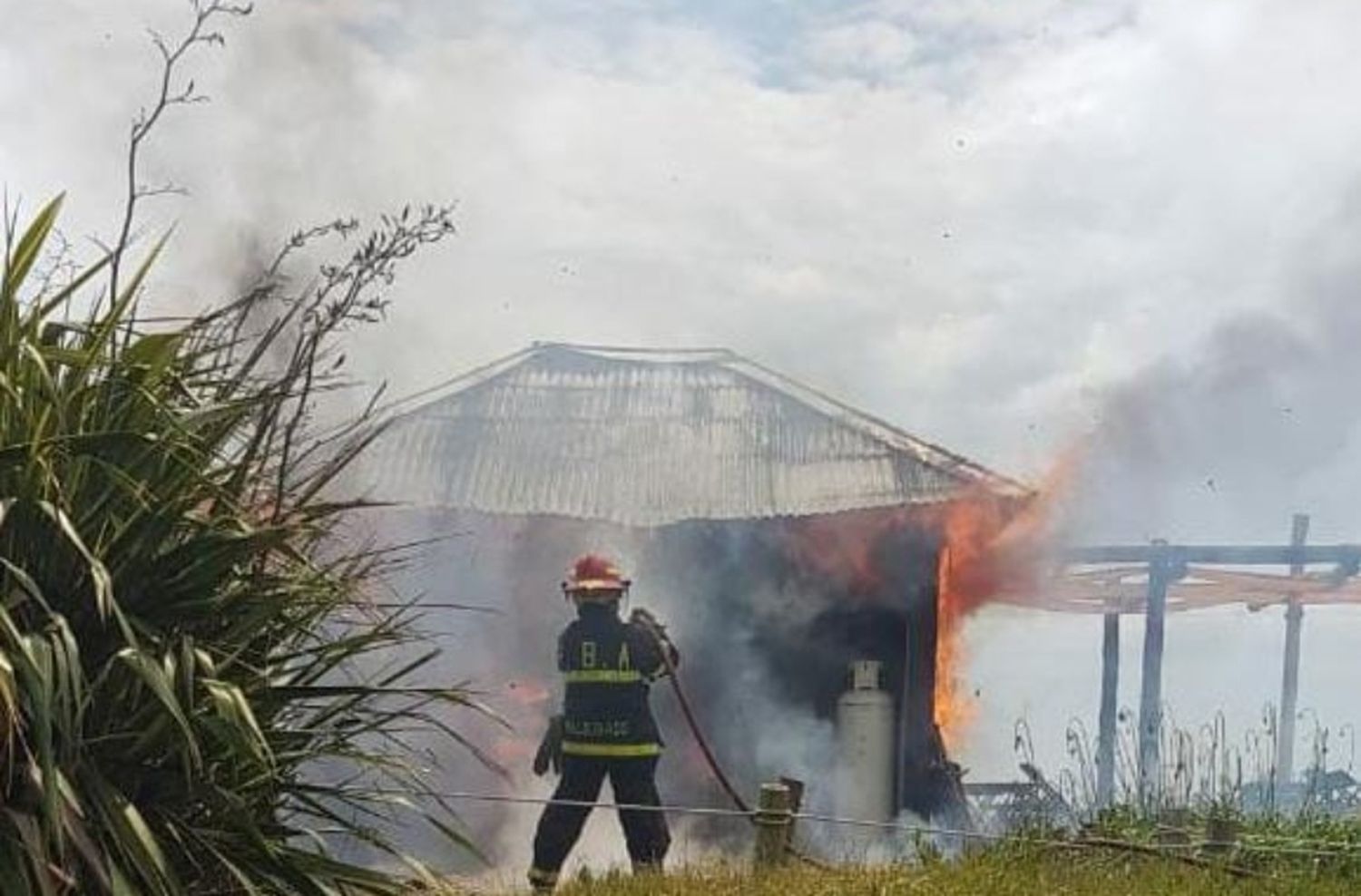 Incendio en el Aquarium: debieron evacuar a quienes lo visitaban
