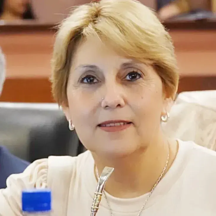 Dura acusación contra la diputada concordiense Liliana Salinas: vinculan su proyecto contra la “Ley de Enganche” con un fallo judicial adverso